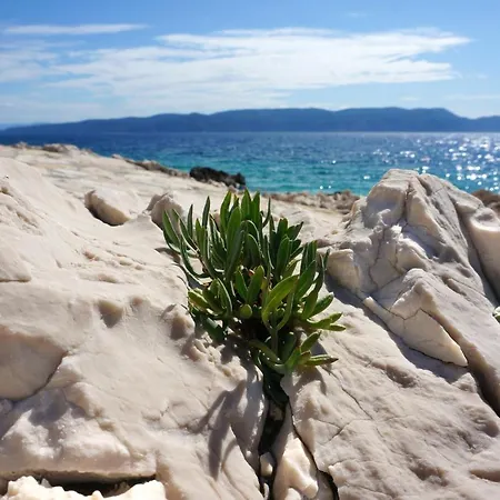 Apartment Suzie Q - Intermezzo With Sea View Rabac Exterior foto
