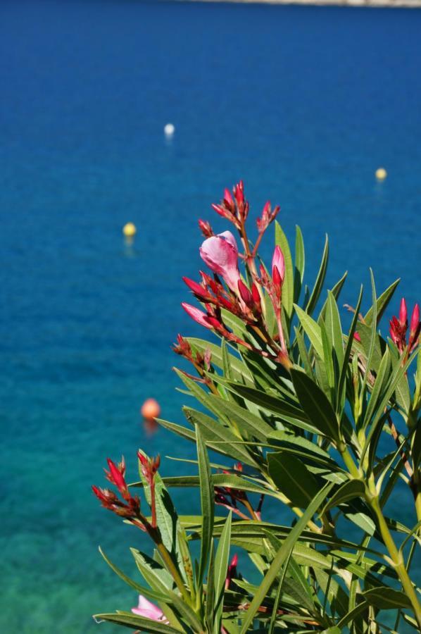 Suzie Q - Intermezzo With Sea View Apartment